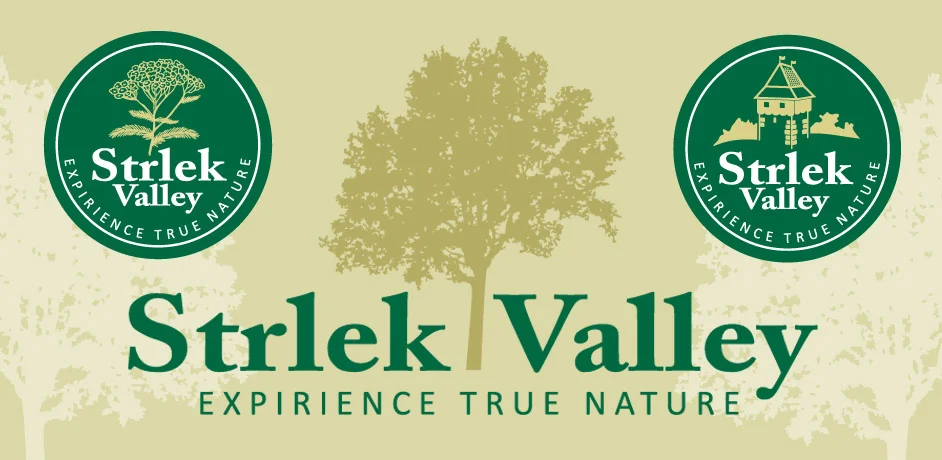 CGP in spletna stran za projekt Strlek Valley